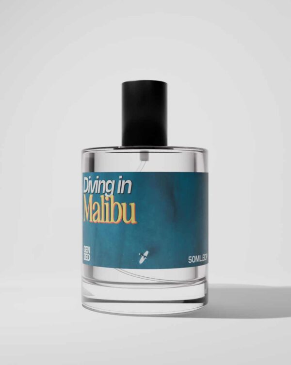 AFTERNOON-SWIM-LOUIS-VUITTON-DIVING-IN-MALIBU-PRODUCT-FEATURED-IMAGE